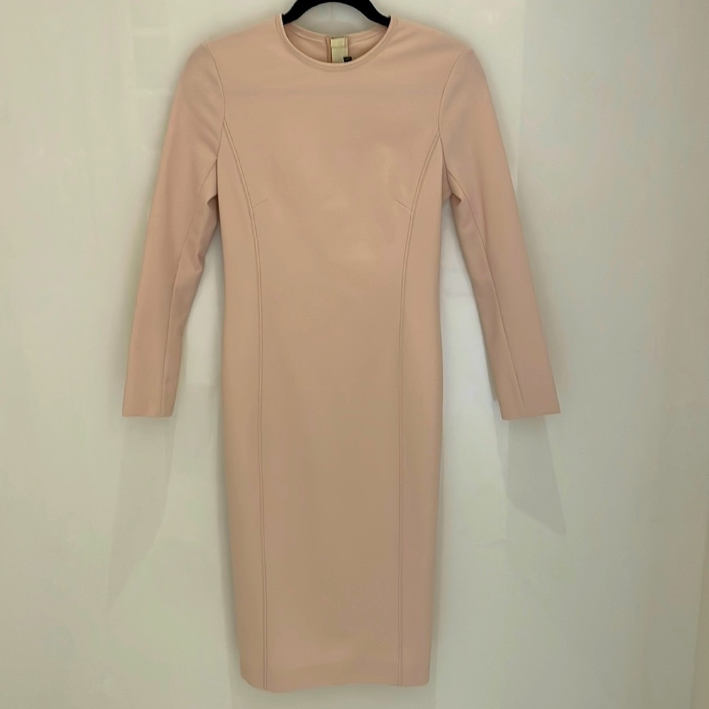Joseph long sleeve blush dress